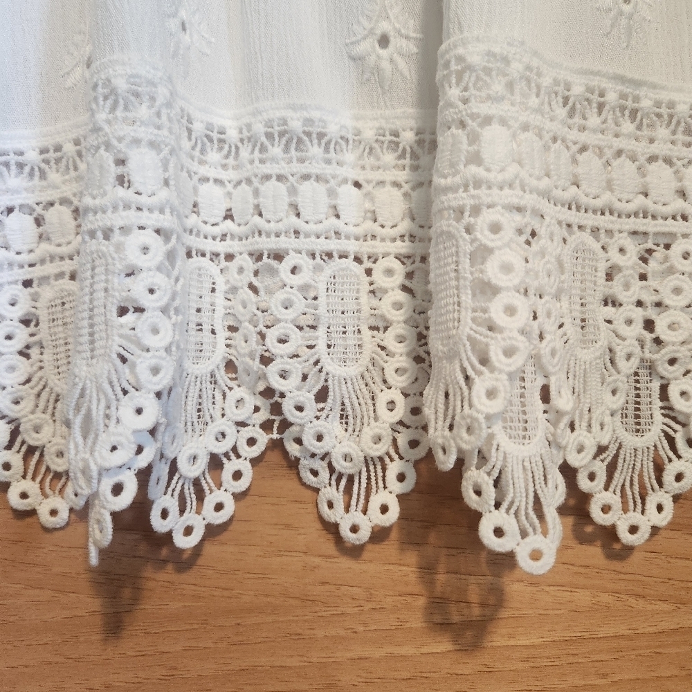 DANIEL RAINN GAUZY EMBROIDERED LACE TRIM BLOUSE TOP LIGHTWEIGHT BOHO MEDIUM EUC - Picture 3 of 7